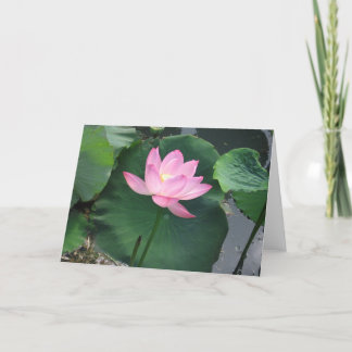 Lotus flower card