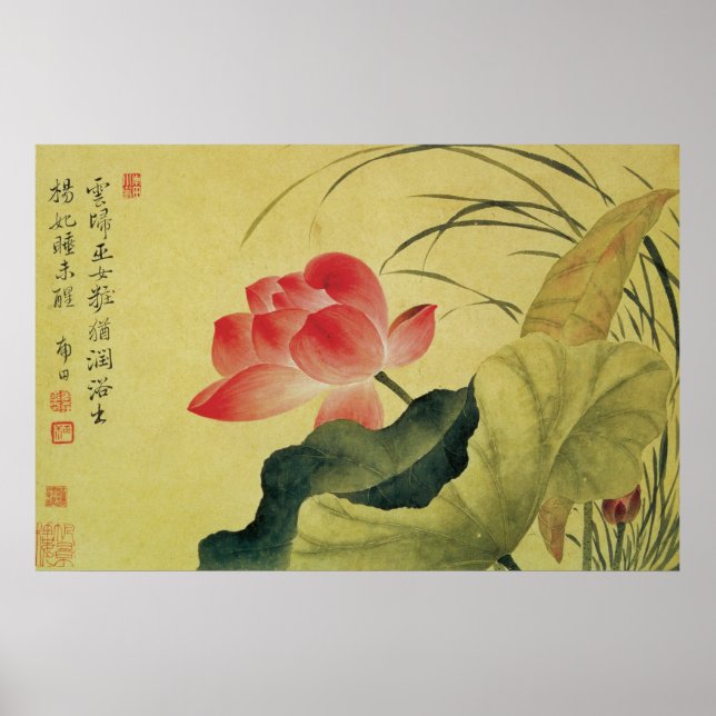 Lotus Flower Chinese Fine Art Poster (Front)