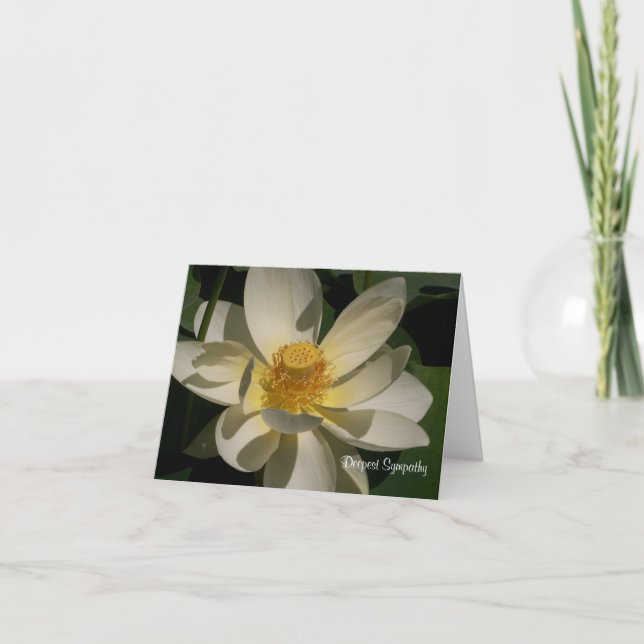 Lotus  Flower, Deepest Sympathy Card (Front)