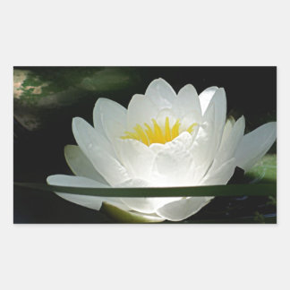 Lotus Flower Gifts Rectangular Sticker