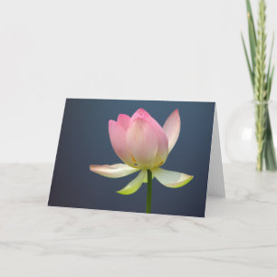 lotus flower greeting cards