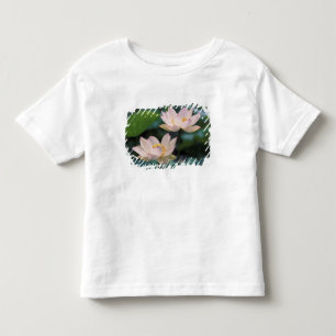 Lotus flower in blossom, China Toddler T-Shirt