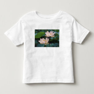 Lotus flower in blossom, China Toddler T-Shirt