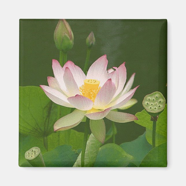 Lotus Flower Magnet (Front)