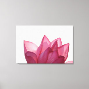 Lotus flower [Nelumbio speciosum] in full Canvas Print