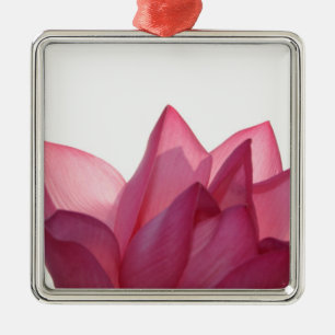 Lotus flower [Nelumbio speciosum] in full Metal Tree Decoration