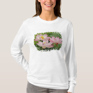 Lotus flower, Nelumbo nucifera, China 2 T-Shirt