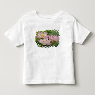 Lotus flower, Nelumbo nucifera, China 2 Toddler T-Shirt