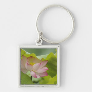 Lotus flower, Nelumbo nucifera, China Key Ring