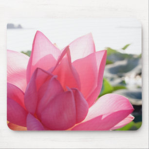 Lotus flower [Nelumbo speciosum] in full Mouse Pad