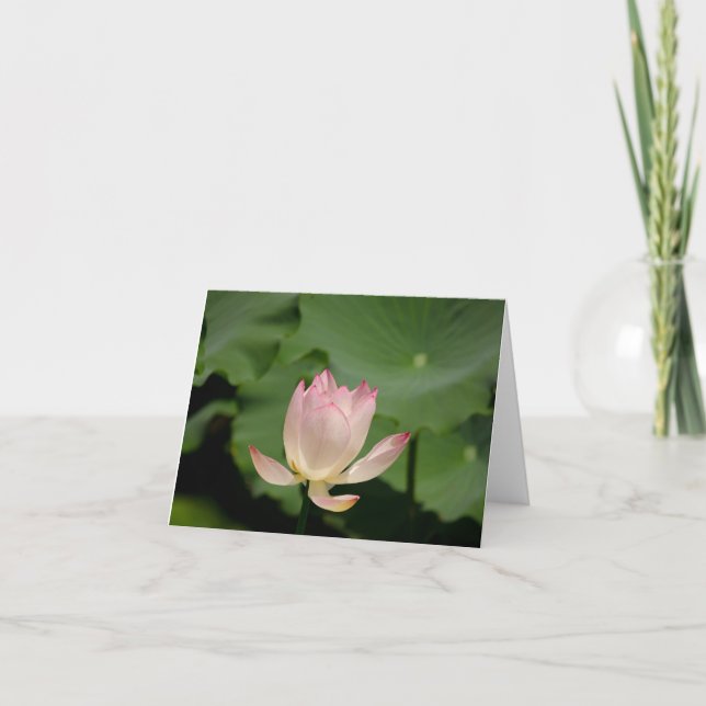 lotus flower note card (Front)