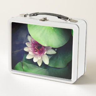Lotus Flower Photography  Lunchbox