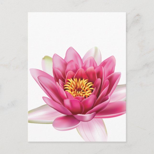 Lotus Flower Postcard (Front)