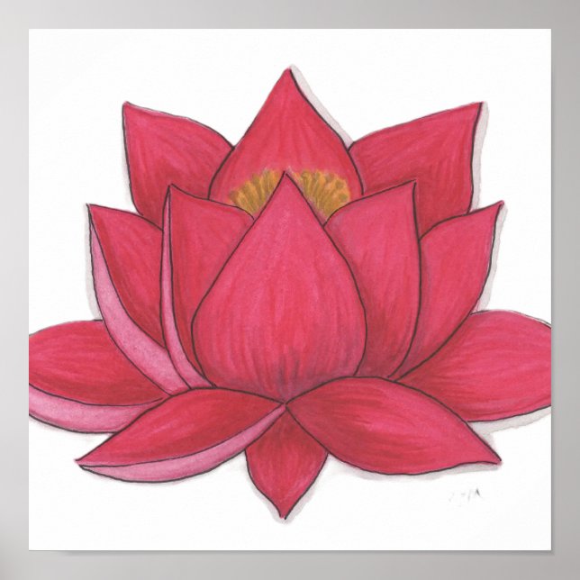Lotus Flower Poster (Front)