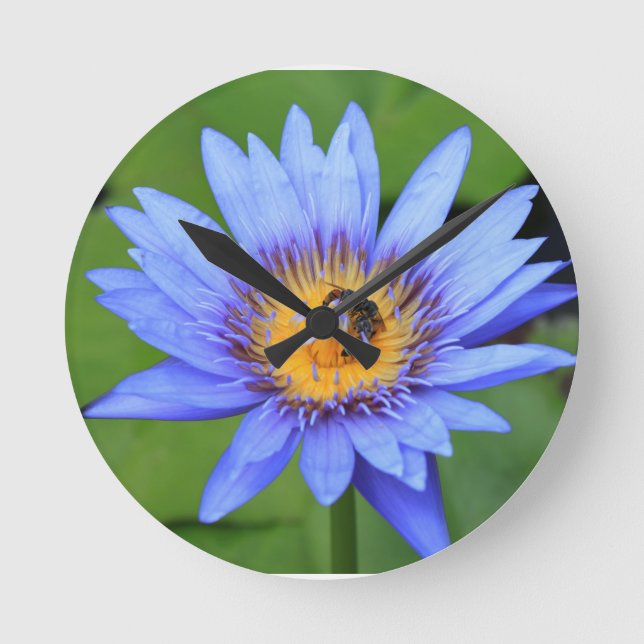 Lotus flower round clock (Front)