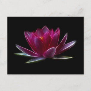 Lotus Flower Water Plant Postcard
