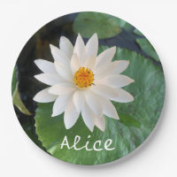 Lotus flower  white colour in the pond  with name