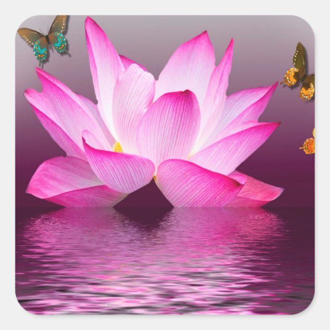 Lotus Flower with Butterfly Insect Square Sticker (Front)