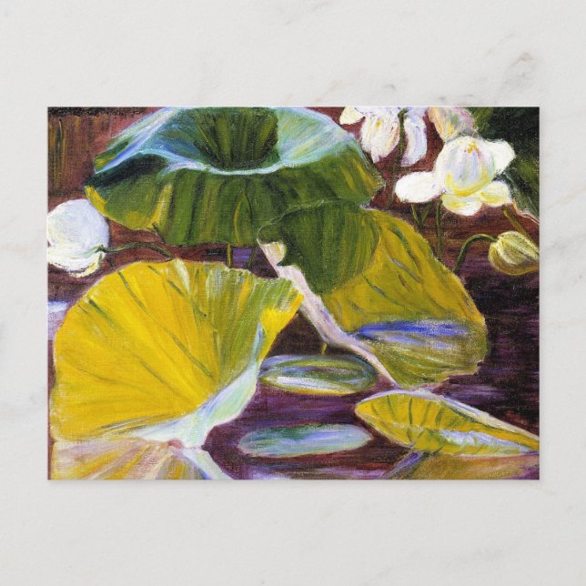 Lotus Flowers - Oya, Japan Postcard (Front)