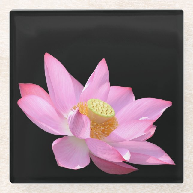 Lotus  glass coaster (Front)