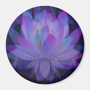 Lotus in Blue... Magnet