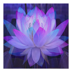 Lotus in Blue... Poster