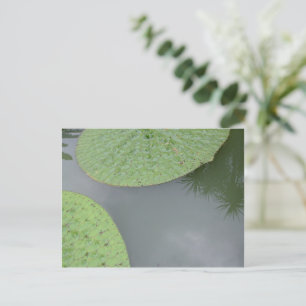 Lotus leaves and summer silhouettes postcard