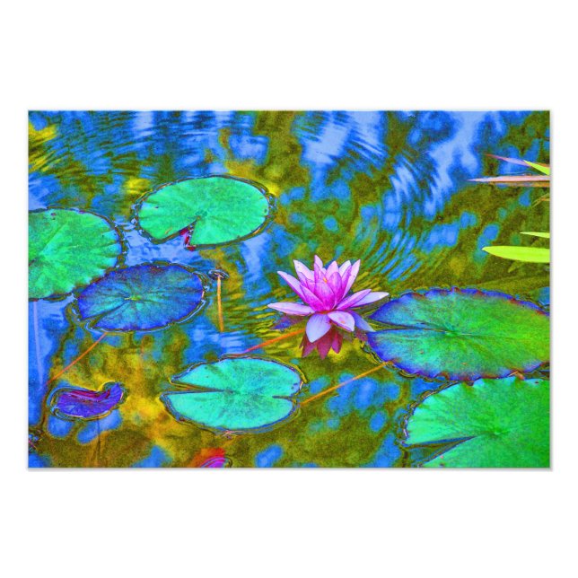 Lotus Lily Pad Water Lily in an Italian Garden Photo Print (Front)