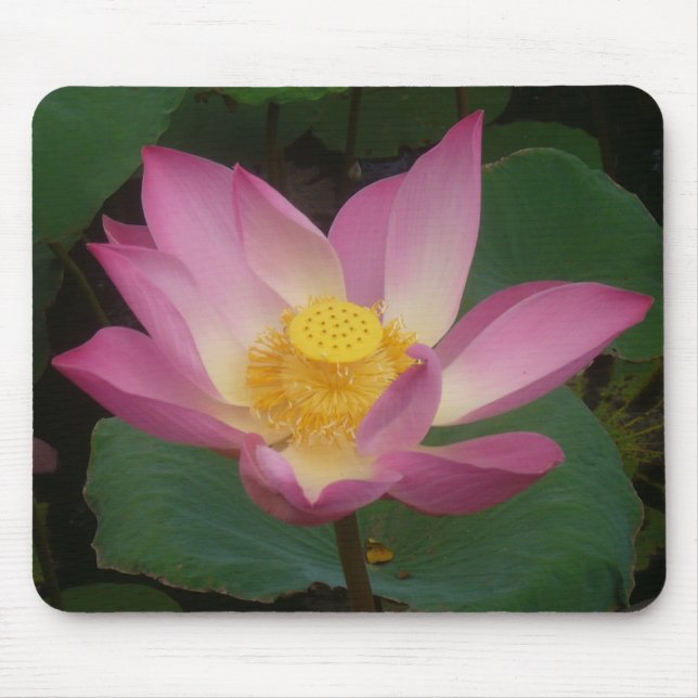 Lotus mouse pad (Front)