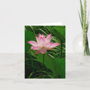 Lotus Notecard