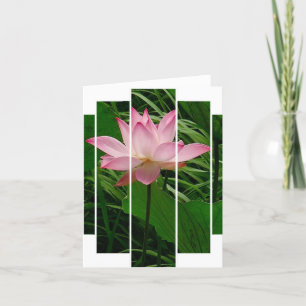 Lotus Notecard