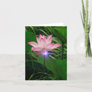 Lotus Notecard