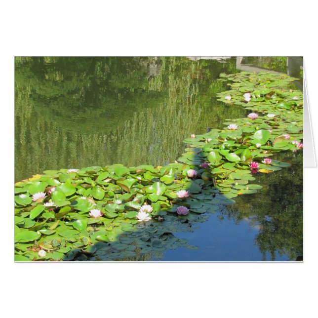 Lotus Path (Front Horizontal)