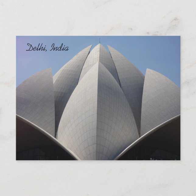 lotus petals postcard (Front)