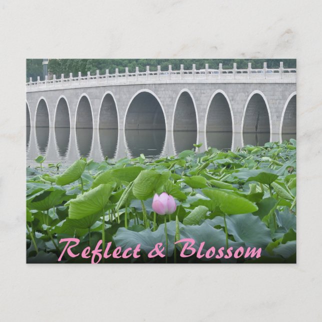 Lotus Pond Reflecting Bridge Arches Postcard (Front)
