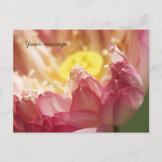 Lotus Postcard