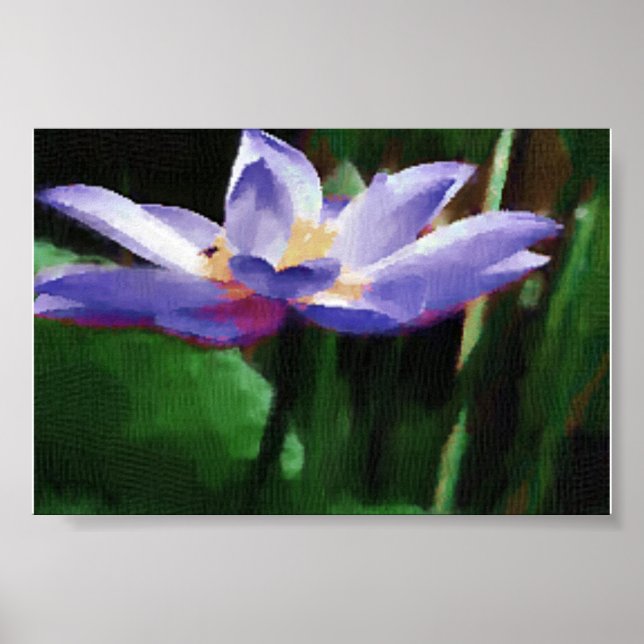 lotus poster (Front)