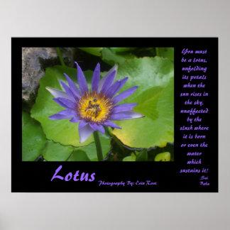 Lotus Poster with quotes from Sai Baba