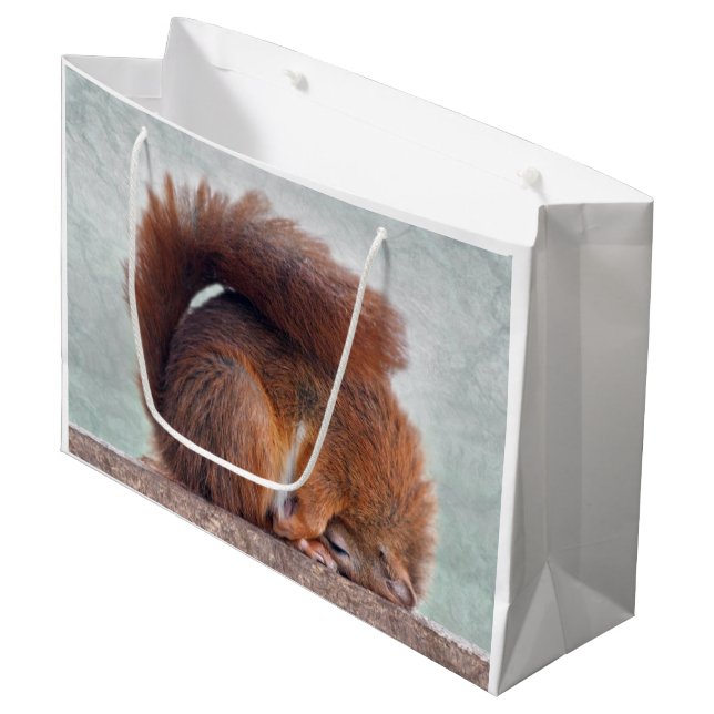 Lotus Squirrel Gift Bag (Front Angled)