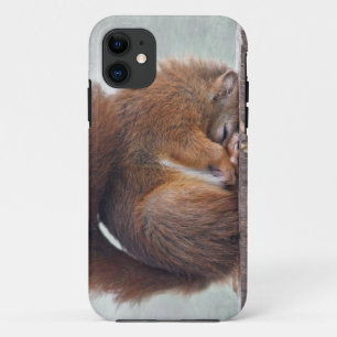 Lotus Squirrel iPhone 5 Case-Mate Case