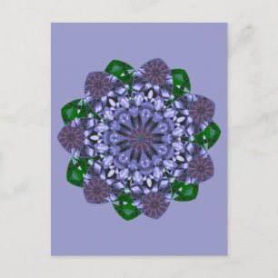 Lotus Star Postcard