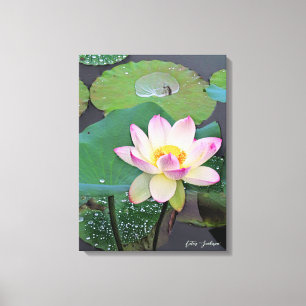 Lotus "Suihiren" Canvas Print