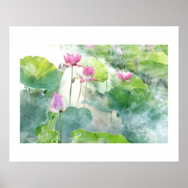 Lotus summer  poster (Front)