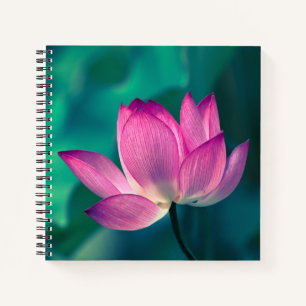 Lotus Water Lily Flower Notebook