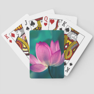 Lotus Water Lily Flower Playing Cards