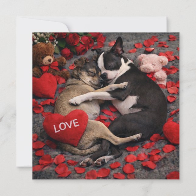Louie & Luna Wish You a Happy Valentine's Day 6 Card (Front)