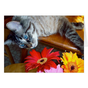 Louie's Flower Bliss