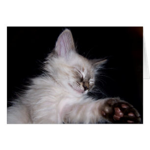 Louie's Sleepy Slumber Smile