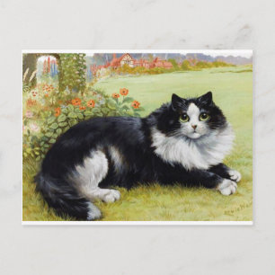 Louis Wain Cat, Black & White Cat Postcard