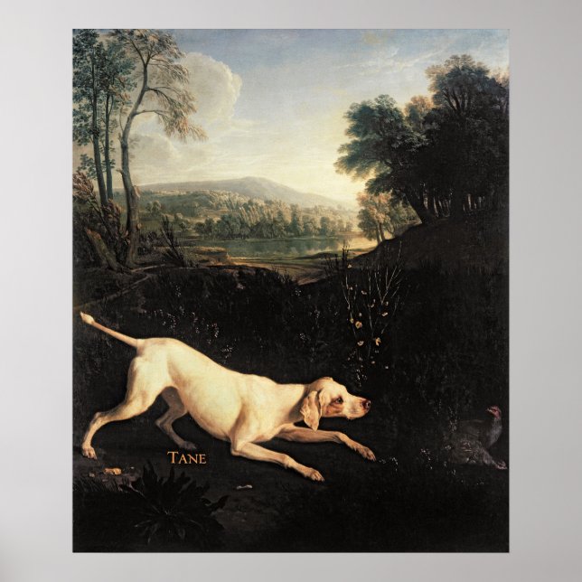 Louis XIV's Dog, Tane Poster (Front)